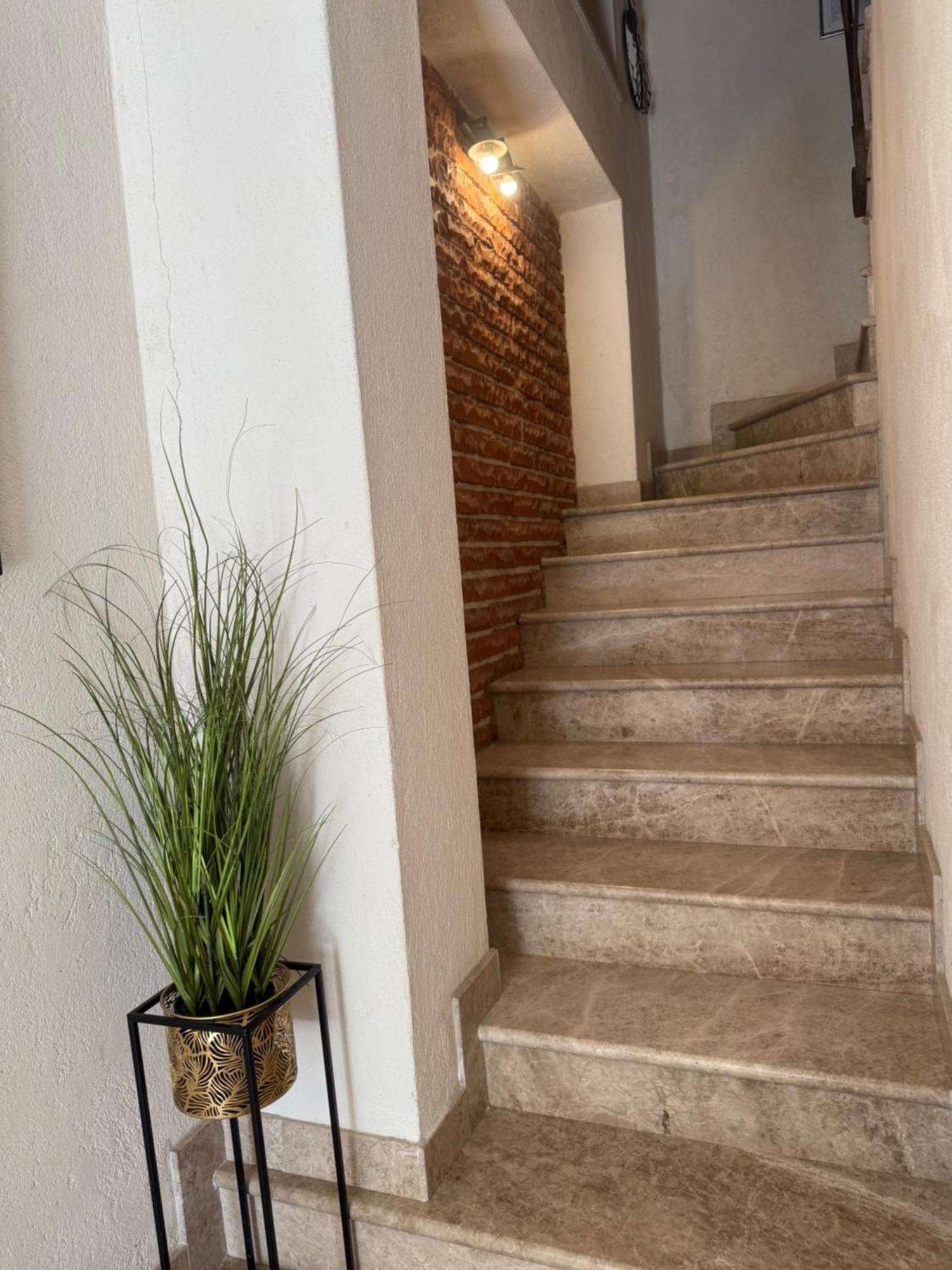 Skver Studio Apartments Herceg Novi Zewnętrze zdjęcie